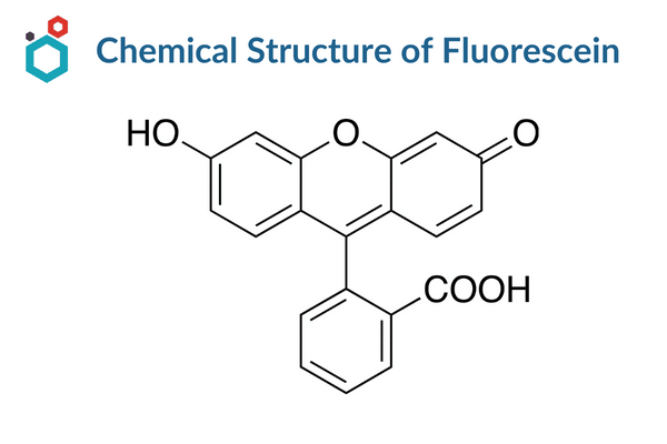 Chemical structures of Fluorescein at different pH values of