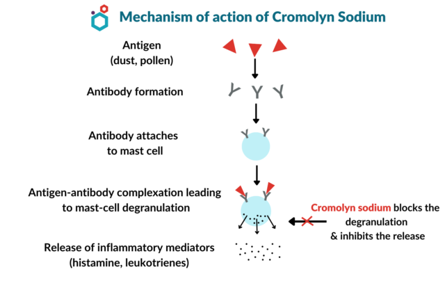 Cromolyn Sodium-Mechanism of action