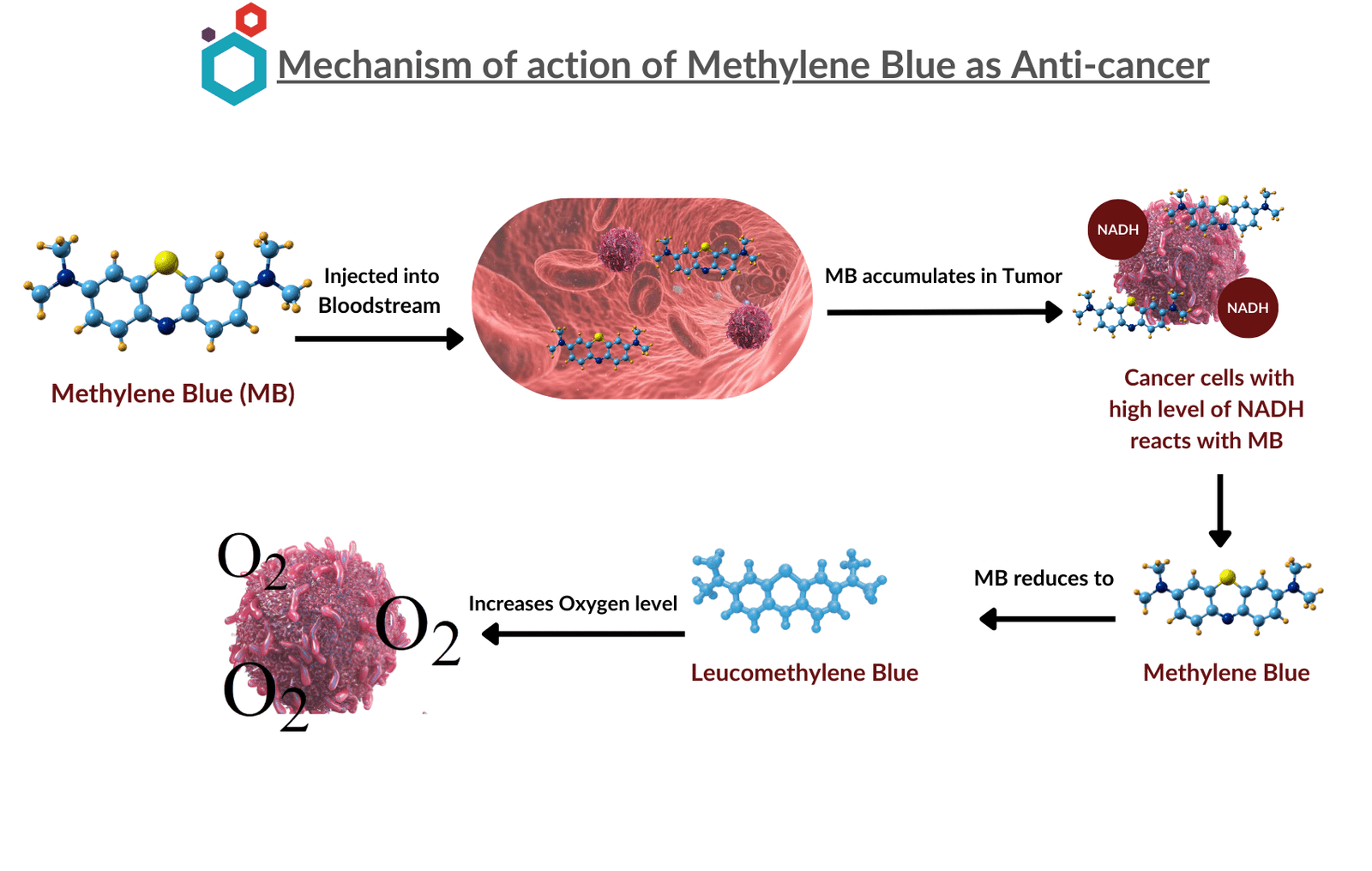 Mechanism of action of Methylene Blue as an Anti-cancer agent