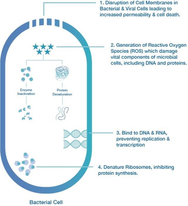 Silver - Mechanism of Action